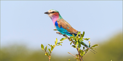 A new gateway to southern Africa