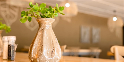 Catching up on Gwango Tamarillo Estate